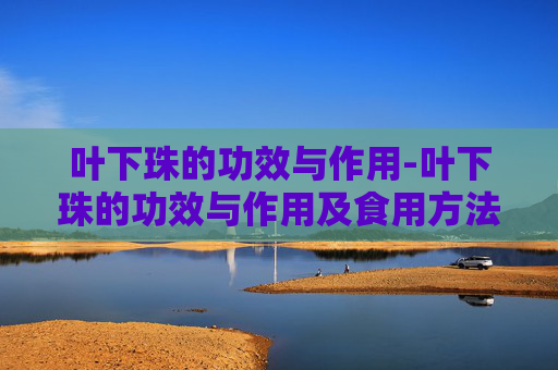 叶下珠的功效与作用-叶下珠的功效与作用及食用方法