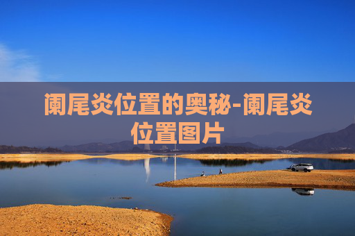 阑尾炎位置的奥秘-阑尾炎位置图片