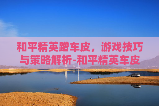 和平精英蹭车皮，游戏技巧与策略解析-和平精英车皮拆解