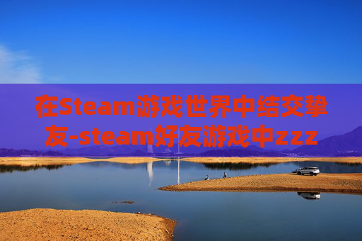 在Steam游戏世界中结交挚友-steam好友游戏中zzz