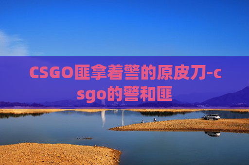 CSGO匪拿着警的原皮刀-csgo的警和匪