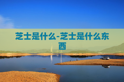 芝士是什么-芝士是什么东西