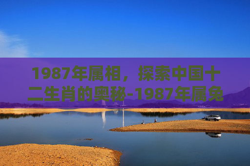 1987年属相，探索中国十二生肖的奥秘-1987年属兔的运势