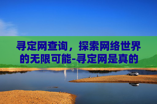 寻定网查询，探索网络世界的无限可能-寻定网是真的吗
