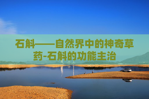 石斛——自然界中的神奇草药-石斛的功能主治