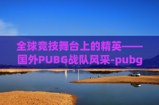 全球竞技舞台上的精英——国外PUBG战队风采-pubg的al战队是个国家的
