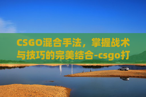 CSGO混合手法，掌握战术与技巧的完美结合-csgo打法思路