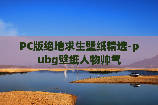 PC版绝地求生壁纸精选-pubg壁纸人物帅气