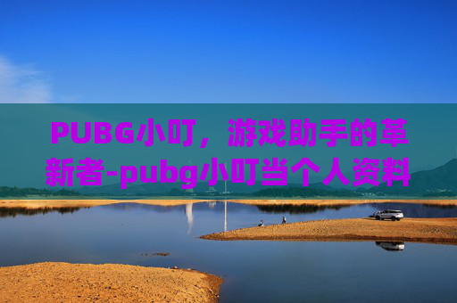PUBG小叮，游戏助手的革新者-pubg小叮当个人资料