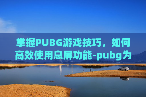 掌握PUBG游戏技巧，如何高效使用息屏功能-pubg为什么切屏出去就切不回来了