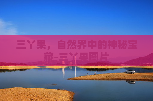 三丫果，自然界中的神秘宝藏-三丫果图片