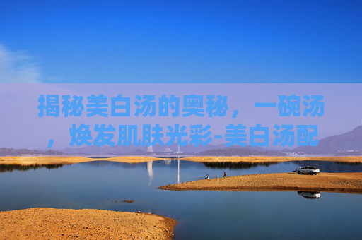 揭秘美白汤的奥秘，一碗汤，焕发肌肤光彩-美白汤配方