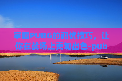 掌握PUBG的调优技巧，让你在战场上更加出色-pubg怎么调倍镜的倍数