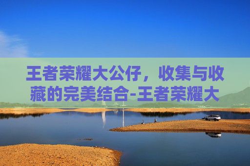 王者荣耀大公仔，收集与收藏的完美结合-王者荣耀大公仔图片