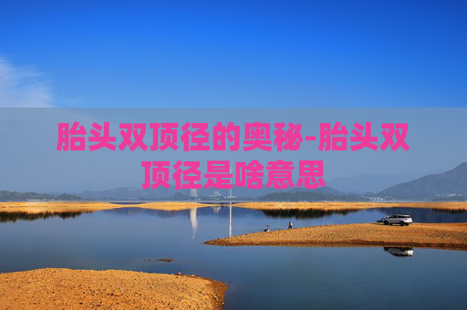 胎头双顶径的奥秘-胎头双顶径是啥意思