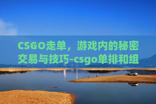CSGO走单，游戏内的秘密交易与技巧-csgo单排和组排有区别吗
