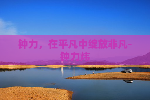 钟力，在平凡中绽放非凡-钟力炜