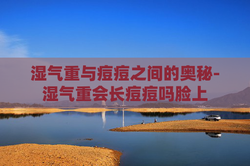 湿气重与痘痘之间的奥秘-湿气重会长痘痘吗脸上