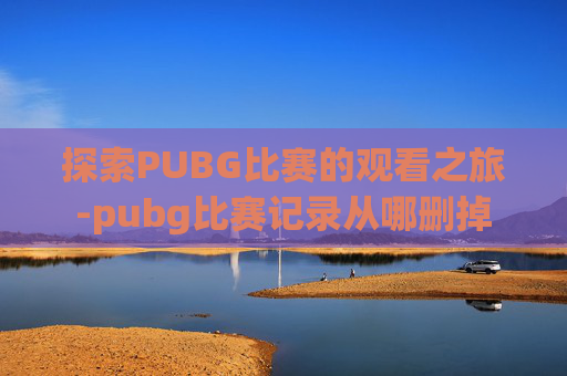 探索PUBG比赛的观看之旅-pubg比赛记录从哪删掉