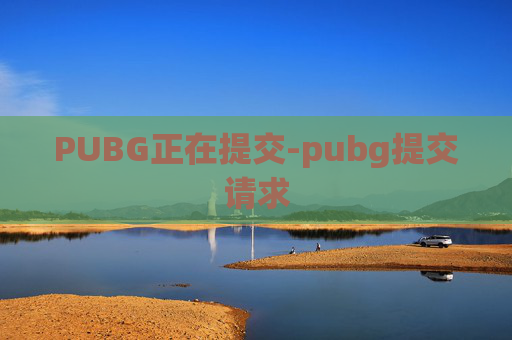 PUBG正在提交-pubg提交请求