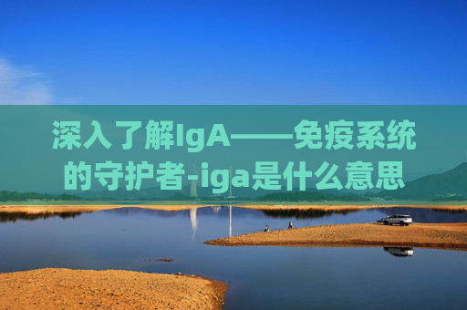 深入了解IgA——免疫系统的守护者-iga是什么意思