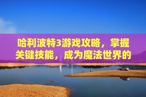 哈利波特3游戏攻略，掌握关键技能，成为魔法世界的终极巫师-产品商标怎么查