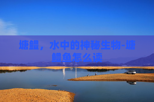 塘鳢，水中的神秘生物-塘鳢鱼怎么读