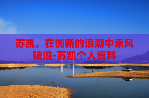 苏凯，在创新的浪潮中乘风破浪-苏凯个人资料