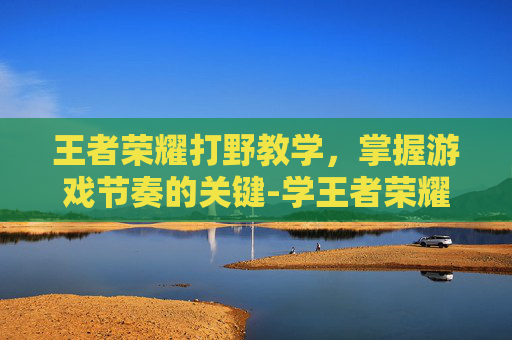 王者荣耀打野教学，掌握游戏节奏的关键-学王者荣耀打野教学在哪里学