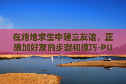 在绝地求生中建立友谊，正确加好友的步骤和技巧-PUBG加好友