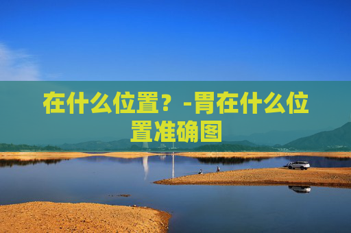 在什么位置？-胃在什么位置准确图