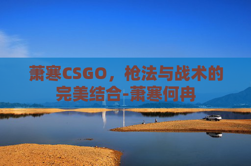 萧寒CSGO,枪法与战术的完美结合-萧寒何冉 萧寒CSGO,枪法与战术的完美结合-萧寒何冉