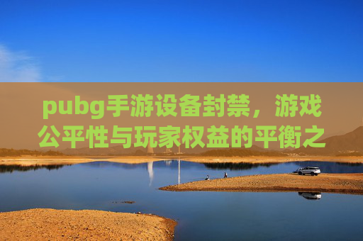pubg手游设备封禁，游戏公平性与玩家权益的平衡之道-pubg设备封禁怎么办