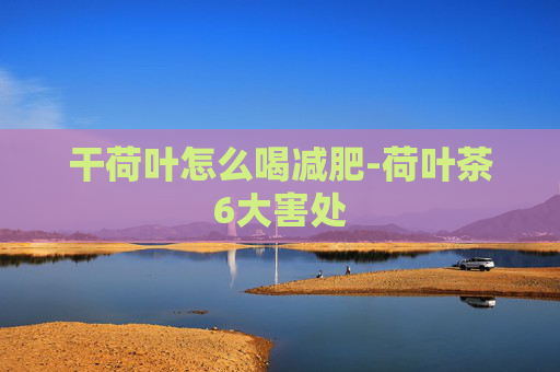 干荷叶怎么喝减肥-荷叶茶6大害处
