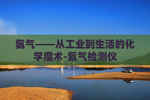 氨气——从工业到生活的化学魔术-氨气检测仪