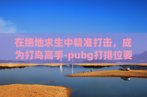 在绝地求生中精准打击，成为打鸟高手-pubg打排位要钱吗