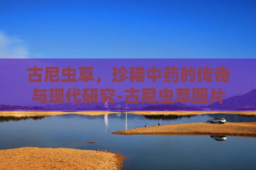 古尼虫草，珍稀中药的传奇与现代研究-古尼虫草图片