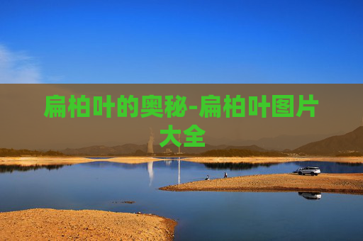 扁柏叶的奥秘-扁柏叶图片大全