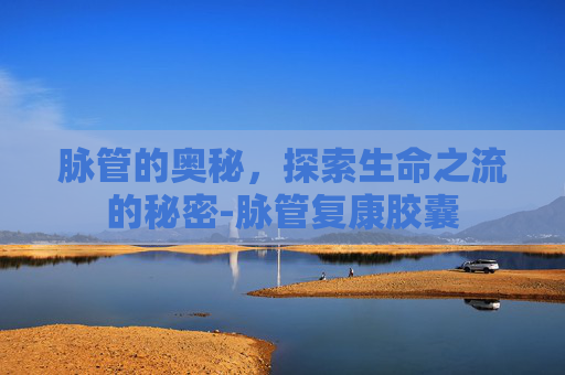 脉管的奥秘，探索生命之流的秘密-脉管复康胶囊