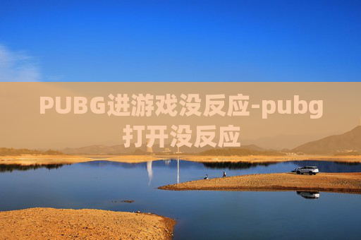 PUBG进游戏没反应-pubg打开没反应