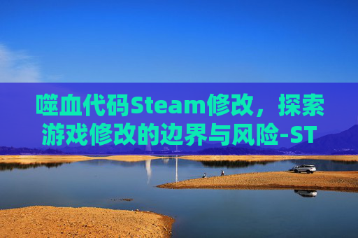 噬血代码Steam修改，探索游戏修改的边界与风险-STEAM噬血代码启动很慢