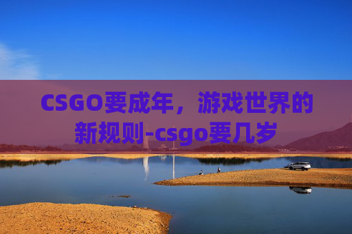 CSGO要成年，游戏世界的新规则-csgo要几岁