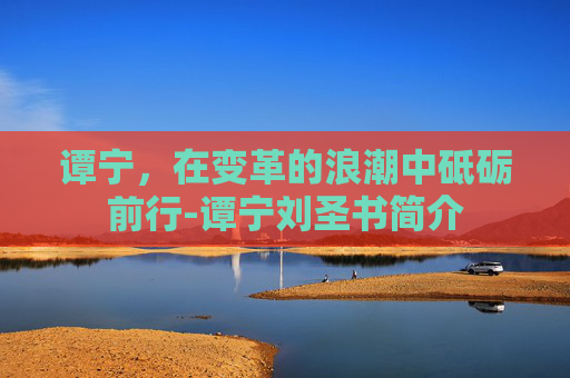 谭宁，在变革的浪潮中砥砺前行-谭宁刘圣书简介