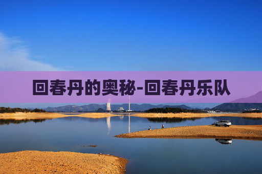 回春丹的奥秘-回春丹乐队