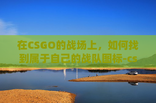 在CSGO的战场上，如何找到属于自己的战队图标-csgo匹配到战队图标不显示