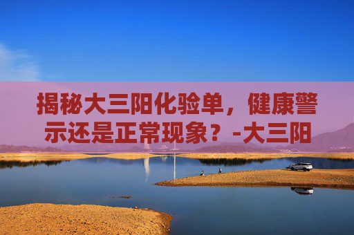 揭秘大三阳化验单，健康警示还是正常现象？-大三阳化验单图片