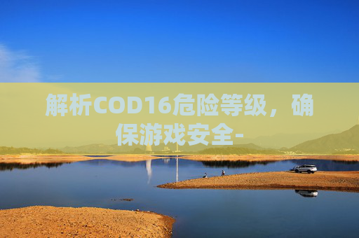 解析COD16危险等级，确保游戏安全-