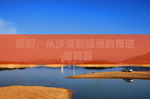 桑莉，从沙漠到绿洲的奇迹-桑莉嘉