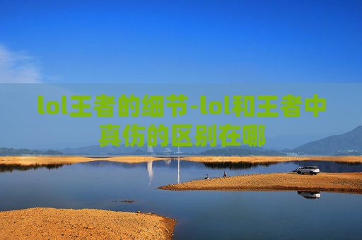 lol王者的细节-lol和王者中真伤的区别在哪