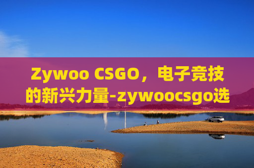 Zywoo CSGO，电子竞技的新兴力量-zywoocsgo选手百度百科